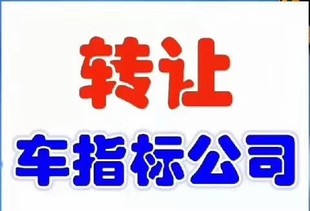 转让带指标的公司需要联系