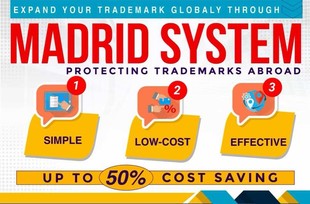 商标注册马德里体系