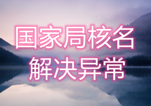 注册一家总局公司