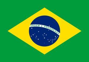 巴西商标注册流程材料