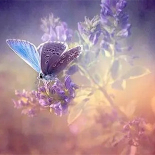 收购研究院买研究院注册研究院的条件