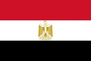 埃及商标注册的材料及流程