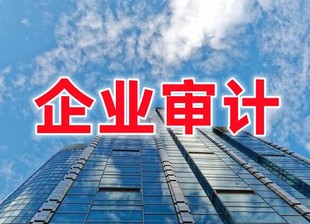 深圳高新专项审计报告,办理深圳高新财务审计
