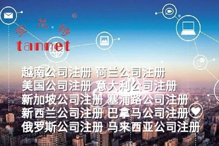 怎样注册爱尔兰公司/注册资料