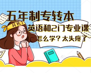 南京有五年制专转本英语暑假培训班吗,专业课辅导开课吗