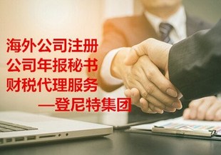 国内怎么注销荷兰公司