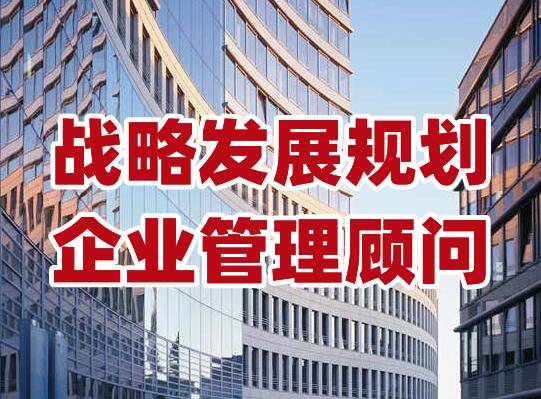 深圳公司发展战略规划，企业周期发展计划书