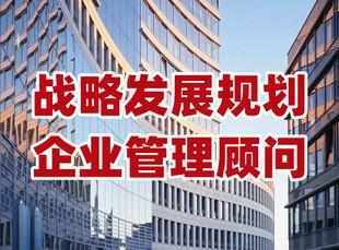 深圳公司发展战略规划,企业周期发展计划书