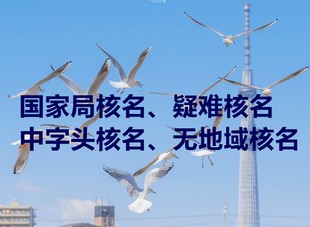 全国受理中字头无区域总局公司注册及核名
