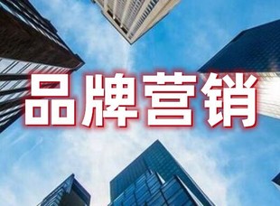 品牌架构搭建设计，企业品牌体系框架设计