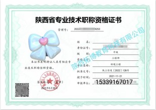 注册2022年陕西省 初中高级网上申报系统申报工程师