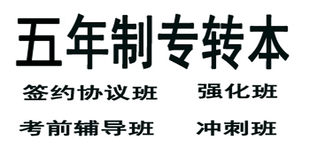 南京传媒学院五年制专转本培训开始招生,英语专业课全部开课