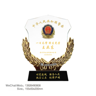 公安局奖杯，police奖杯，杰出干部奖杯，水晶纪念奖杯，山东水晶奖杯