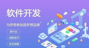 南昌做资产管理系统软件开发网站建设IPv6升级改造