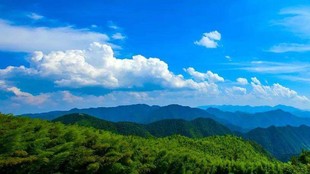 电力行业新能源乙级资质新申请要去那个部门咨询办理