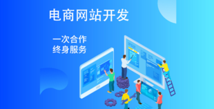 电商网站建设适合哪些企业?