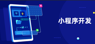 找第三方小程序开发公司需要注意什么?