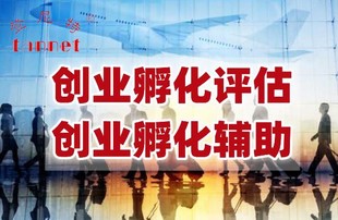 深圳创业孵化评估,创业孵化项目分析