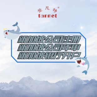 新加坡公司注册要求、注册新加坡公司需求