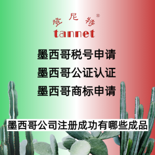 代理注册墨西哥公司