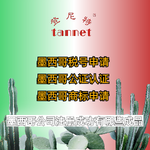 代理注册墨西哥公司