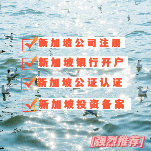 注册新加坡公司的流程