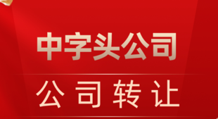 新设立中字头的公司还是收购一家