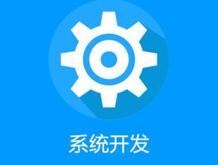 江西系统软件开发公司,南昌商城网站建设开发公司