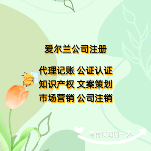 爱尔兰公司注册常见问题