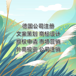 德国公司注册国内需要什么手续