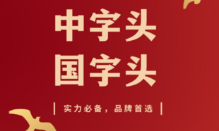 2中字头公司名称，中字头公司核名