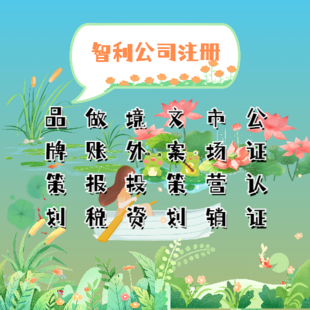 智利公司注册资金