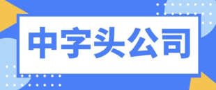 2中字头公司有什么优势