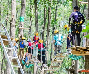 苏州三六六社会实践课走进森林探索林间奥秘暑期夏令营活动招生中