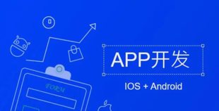 江西计算机软件服务公司APP应用开发网站建设开发