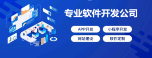 南昌老牌软件开发公司,商城APP开发网站建设制作