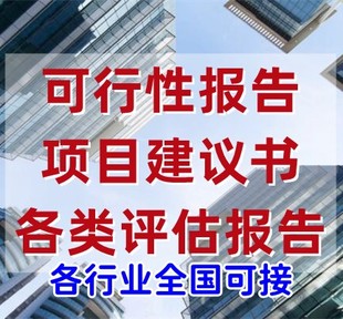 软件系统项目立项报告代写