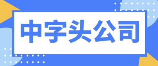2中字头 国际贸易公司转让的流程,中字头公司