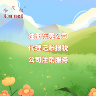 外籍人在东莞注册外资公司