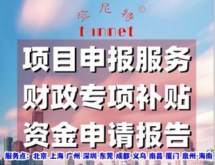 政府项目申报书怎么写?