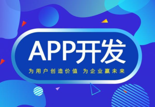江西互联网平台开发公司,南昌网站建设商城APP开发