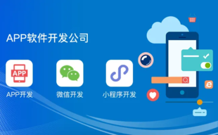 江西小程序开发公司,南昌APP软件开发公司