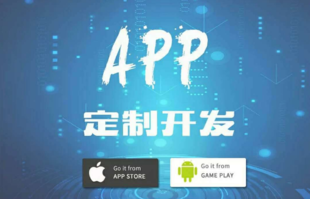 江西专业开发公司,南昌APP应用软件开发公司