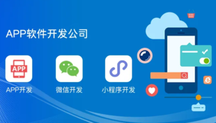 江西专业开发公司,南昌APP应用软件开发公司