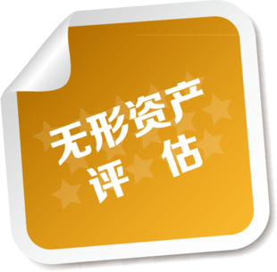 广州无形资产评估1著作权评估1专利技术评估