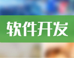 江西南昌做软件平台开发的网络公司哪家专业