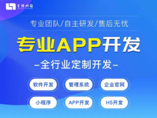 江西APP软件源码开发公司,商城网站建设开发公司