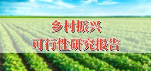 乡村振兴项目立项报告如何编写?