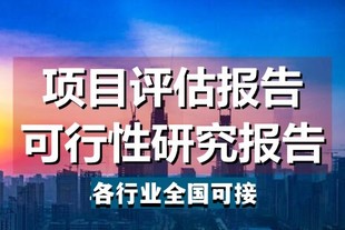 怎么编写仪器仪表项目可行性研究报告？