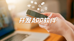 江西知名软件公司,小程序APP开发公众号开发